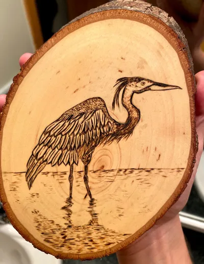 Great Blue Heron wood burning